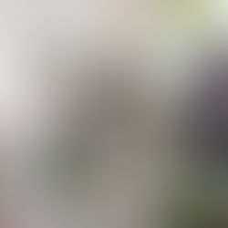 EL INTENDENTE COMPARTIÓ EL TRADICIONAL BRINDIS DE FIN DE AÑO CON LOS MEDIOS DE COMUNICACIÓN