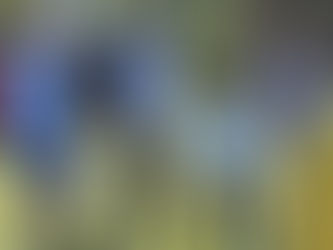 DAIREUAX: SE REALIZÓ LA MUESTRA DE CIERRE DE EQUINOTERAPIA