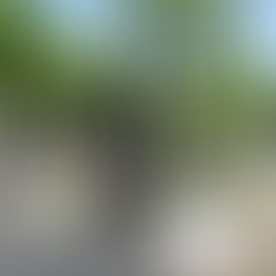 EL MUNICIPIO ACOMPAÑA LA CELEBRACIÓN POR LOS 100 AÑOS DE HISTORIA DE LA CLÍNICA GARCÍA SALINAS CON UN MONUMENTO CONMEMORATIVO