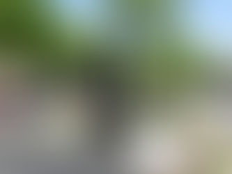 EL MUNICIPIO ACOMPAÑA LA CELEBRACIÓN POR LOS 100 AÑOS DE HISTORIA DE LA CLÍNICA GARCÍA SALINAS CON UN MONUMENTO CONMEMORATIVO