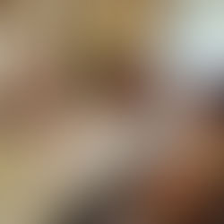 PELLEGRINI: SE OTORGÓ EN COMODATO UN TERRENO MUNICIPAL PARA UN PROYECTO PRODUCTIVO SUSTENTABLE