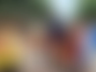 UNOS 800 CHICOS Y CHICAS ASISTIERON A LA ESCUELA ABIERTA DE VERANO EN CARLOS TEJEDOR