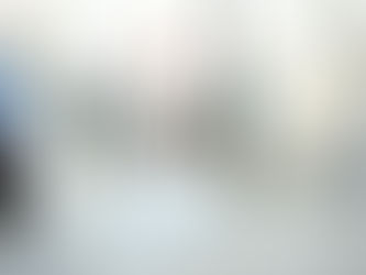 AVANZA LA OBRA DEL FRIGORÍFICO DE CERDOS EN DAIREAUX