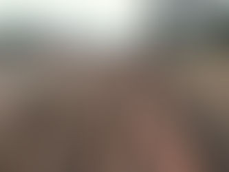 PELLEGRINI: CONTINÚA LA CONSTRUCCIÓN DEL CANAL DE LA CALLE QUINTANA