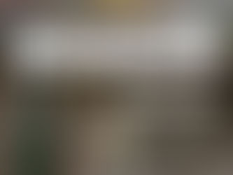 GUAMINÍ: INAUGURACIÓN DEL MUSEO Y CENTRO DE INTERPRETACIÓN EN ARROYO VENADO