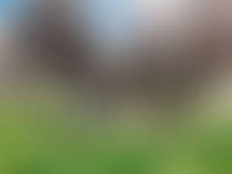 MASTELLONE HNOS. LANZA TALLERES SOBRE BIENESTAR ANIMAL PARA INSTITUCIONES EDUCATIVAS