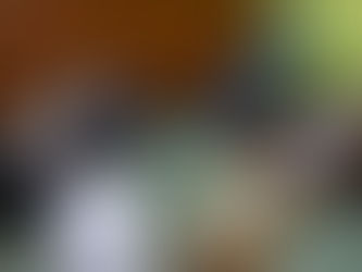 REUNIÓN CON REPRESENTANTES DEL MINISTERIO DE TRABAJO DE LA PROVINCIA