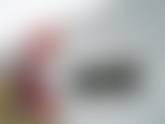 9º ENCUENTRO DE ARTE MURAL EN TRENQUE LAUQUEN: LOS MURALISTAS YA COMENZARON A TRABAJAR EN LAS PAREDES DE LOS JARDINES MATERNALES MUNICIPALES