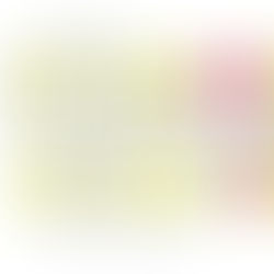 MI LOTE: EL MUNICIPIO REALIZARÁ ESTE MIÉRCOLES EL PRIMER ACTO DE FIRMA DE BOLETOS DE COMPRAVENTA DE LOS TERRENOS