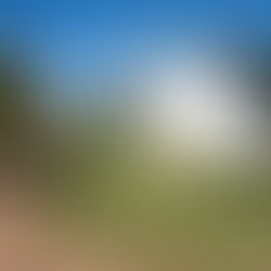 MÁS ESPACIOS Y MÁS SERVICIOS PARA EL POLIDEPORTIVO MUNICIPAL: ESTÁ EN MARCHA LA OBRA DE AMPLIACIÓN DEL PREDIO