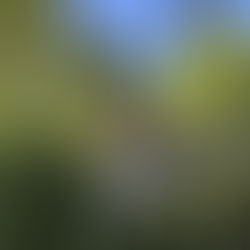 PEHUAJÓ SUMA NUEVA TECNOLOGÍA VIAL EN PUNTOS ESTRATÉGICOS PARA REFORZAR LA SEGURIDAD