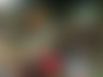 EXITOSA TERCERA NOCHE DE CARNAVALES GUAMINÍ 2023