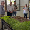 NUEVA ENTREGA DE PLANTINES FORTALECE LA PRODUCCIÓN LOCAL Y EL CUIDADO DEL AMBIENTE