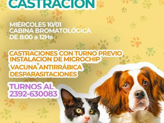 PELLEGRINI: JORNADA DE CASTRACIÓN Y VACUNACIÓN EN LA CABINA BROMATOLÓGICA
