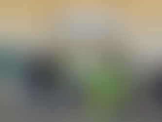 ENTREGA DE MATERIALES DEPORTIVOS A LA ESCUELA PRIMARIA N° 2 DE COLONIA SERÉ