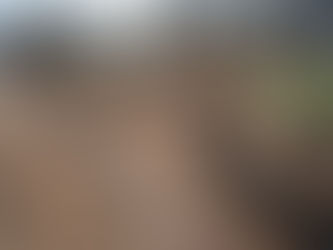 RIVADAVIA: AVANZA LA OBRA DE CORDÓN CUNETA EN FORTÍN OLAVARRÍA