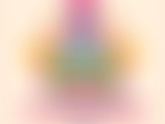 REGULARIZACIÓN DE COMERCIOS EN GUAMINÍ