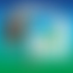 PEHUAJÓ:  ESTE MIÉRCOLES CONTINUARÁN LOS CORTES DE CALLE POR TRABAJOS DE PODA EN EL MICROCENTRO