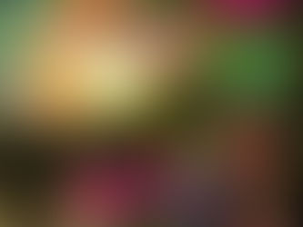 DAIREAUX: LLEGAN LOS CARNAVALES 2024