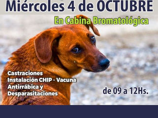PELLEGRINI: ESTE MIÉRCOLES EL QUIRÓFANO MÓVIL DE MASCOTAS ESTARÁ EN LA CABINA BROMATOLÓGICA