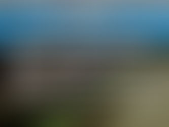 REGISTRO DE FEEDLOT Y CRIADEROS DE CERDOS EN CARLOS TEJEDOR