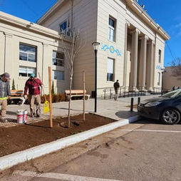 EL MUNICIPIO Y CARGILL ARTICULAN UN PROYECTO DE FORESTACIÓN DE ARBOLADO URBANO PARA ESPACIOS PÚBLICOS DEL DISTRITO