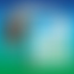 PEHUAJÓ: ESTE LUNES 13 CONTINÚAN LAS TAREAS DE PODA EN EL MICROCENTRO DE LA CIUDAD