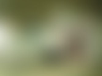 TRENQUE LAUQUEN VIVIÓ UNA NUEVA EDICIÓN DE “LA NOCHE DE LOS MUSEOS” CON UNA PROPUESTA AMPLIADA Y GRAN PARTICIPACIÓN COMUNITARIA