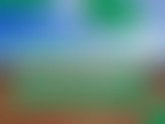 BANDERA VERDE PARA EL TRÁNSITO EN LOS CAMINOS RURAL DEL DISTRITO DE TRES LOMAS