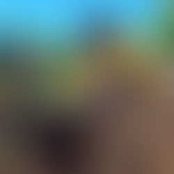 AVANZAN LAS NUEVAS OBRAS DE GAS EN GUAMINÍ