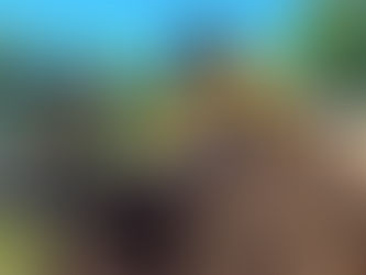 AVANZAN LAS NUEVAS OBRAS DE GAS EN GUAMINÍ