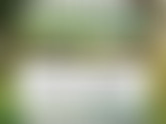 TRES LOMAS: ENCUENTRO AMBIENTAL EN EL BIOPARQUE MUNICIPAL