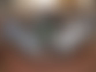 GUAMINÍ: EL INTENDENTE MUNICIPAL PARTICIPÓ DE UNA NUEVA REUNIÓN DE MESA AGROPECUARIA DISTRITAL