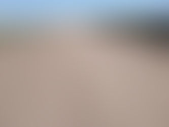 SE REALIZAN TAREAS DE MANTENIMIENTO EN CAMINOS SALAZAR-DAIREAUX