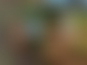 EL CENTRO DE ZOONOSIS MUNICIPAL DE TRENQUE LAUQUEN BUSCA FAMILIAS PARA DOS PERRITOS EN ADOPCIÓN