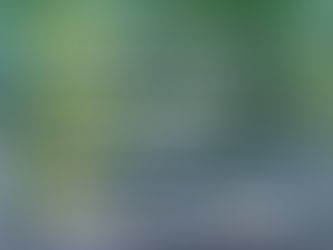 PELLEGRINI: CRONOGRAMA DE RECOLECCIÓN DE RESIDUOS DURANTE EL FIN DE SEMANA LARGO