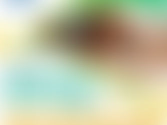 GUAMINÍ: EL MUNICIPIO REALIZA LA ENTREGA DE BECAS “EDUCAR 2024"