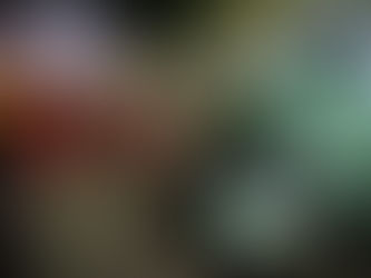 CAMPAMENTO DE LA ESCUELA ABIERTA DE VERANO EN LA QUINTA MUNICIPAL DE DAIREAUX