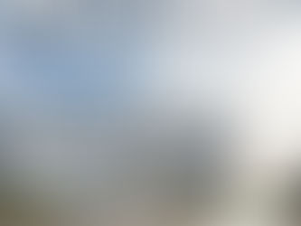 REGISTRO DE NUEVOS PROFESIONALES EN GUAMINÍ Y ARROYO VENADO