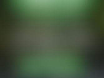 CARLOS TEJEDOR: CAPACITACIÓN Y ASESORAMIENTO EN FORESTACIÓN RURAL