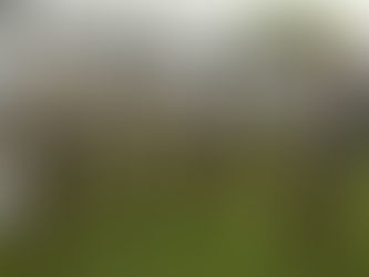 30 DE AGOSTO: LA BANDA MILITAR "CURA MALAL" VISITÓ LA RESIDENCIA DE ADULTOS MAYORES "LUIS ALBERTO CÓRDOBA"