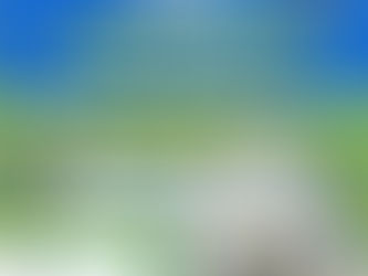 SALLIQUELÓ: ESTE MARTES HABRÁ VENTA ESPECIAL DE VERDURAS LOCALES Y SORTEO DE FIN DE AÑO