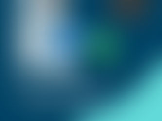 DENGUE: HABRÁ UNA JORNADA DE DESCACHARRIZACIÓN EN EL SECTOR DE LAS CALLES MAGDALENA Y UGARTE