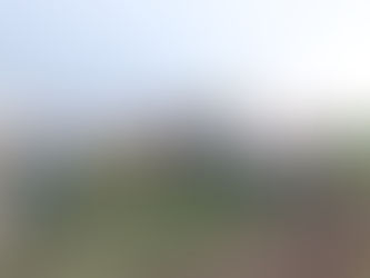 JUNTO AL INTA, SE ORGANIZÓ UNA JORNADA FORESTAL EN CARLOS TEJEDOR