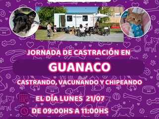 PEHUAJÓ: ESTE LUNES "PEHUELLITAS" REALIZARÁ CASTRACIONES EN LAS LOCALIDADES DE GUANACO Y CHICLANA