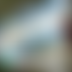 TRENQUE LAUQUEN: RECAMBIO DE BANDERAS UBICADAS EN LOS MÁSTILES DE LOS ESPACIOS PÚBLICOS