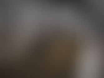 COMENZÓ EL TORNEO DE BOCHAS 125° ANIVERSARIO DE PELLEGRINI