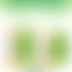 EL MUNICIPIO DE TRENQUE LAUQUEN, POR SEGUNDO AÑO CONSECUTIVO, ACORDÓ CON LOS GREMIOS UN AUMENTO SALARIAL ANUAL POR ARRIBA DE LA INFLACIÓN, Y UN BONO DE $140.000 PARA ENERO DE 2026