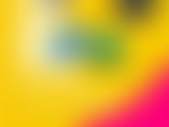 TRENQUE LAUQUEN - PREVENCIÓN CONTRA EL DENGUE: ESTE MIÉRCOLES HABRÁ UNA JORNADA DE DESCACHARRIZACIÓN EN EL SECTOR ALEDAÑO A LAS CALLES SAN LORENZO Y PACHECO