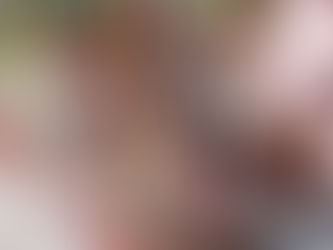 PEHUAJÓ: SE TRABAJA EN LA REPARACIÓN Y MANTENIMIENTO DE ESPACIOS PÚBLICOS